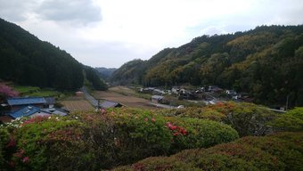 Ukiha Kojio No Akari