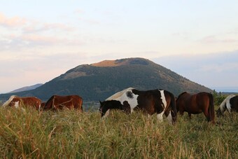 Hostal Batdol Guesthouse - Hostel