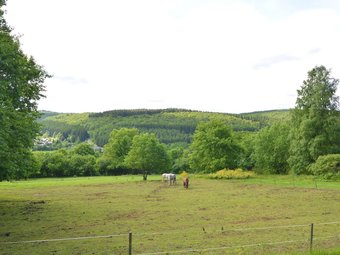 Beautiful House With View Of The Houille Valley