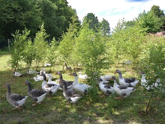 Cosy Holiday Home In Hildfeld With Terrace