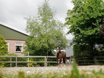 Spacious Apartment In Eibergen With Private Terrace