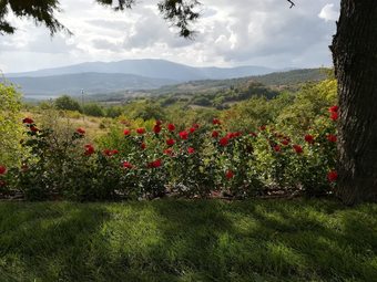 Villa With 5 Bedrooms In Pieve Santo Stefano, With Private Pool And Wifi