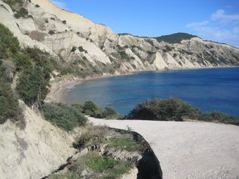 Ver fotos