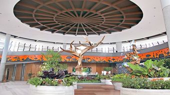 Apartamento Royal Safari Garden Resort & Convention