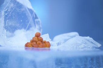 Sorrisniva Igloo Hotel