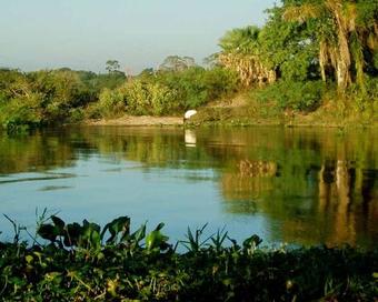 Pantanal Park Hotel