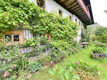 Traditional Apartment In Altreichenau Near The Forest