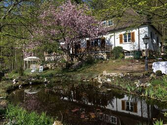 Charming Apartment In Wei�enbrunn Near Forest