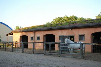 Ferienwohnung Auf Pferdehof Bei Neustadt