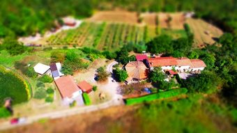 La Mandra