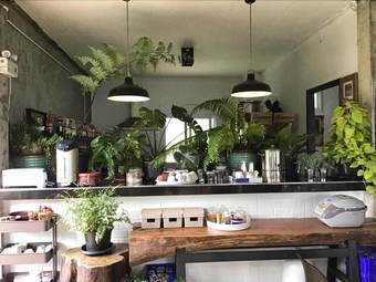 Hotel Phongtang Garden Hill Homestay