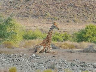 Hotel Sanbona Wildlife Reserve