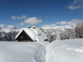 Chalet Ru?a
