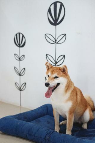Hotel Pawtel