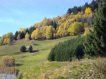 Apartment Disentis