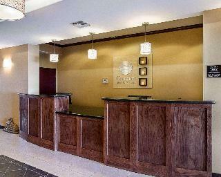 Hotel Comfort Inn & Suites Monahans Area