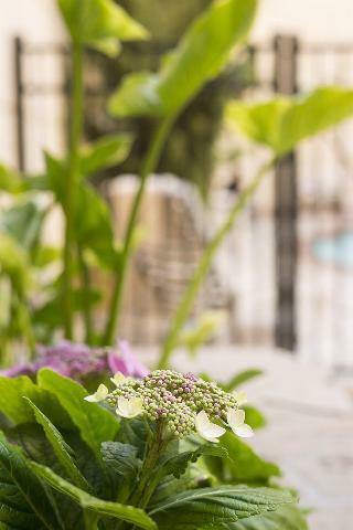 Hotel Ayres Manhattan Beach