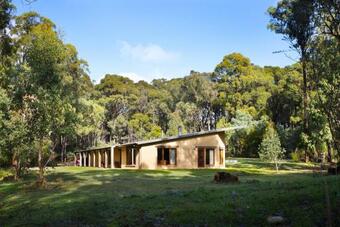 Gumtree Spring