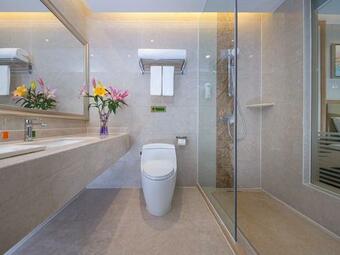 Vienna Hotel (qingyuan Century Bar Shop In Guangdong Province)