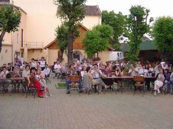 Hotel Traube