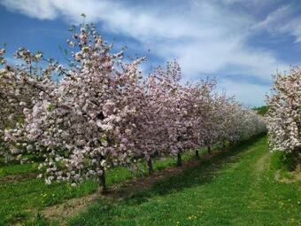 Apartamento Ferienhof Dachsberg Maisonette