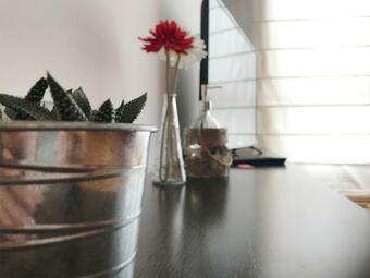 Apartamentos Arha