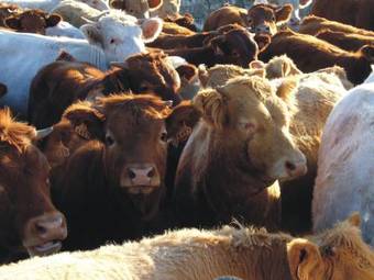 Hostal Monte Do Vale