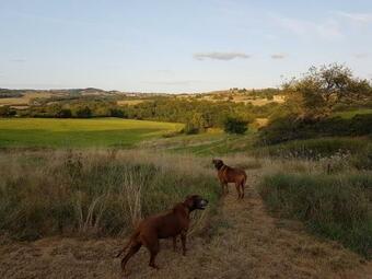 Enjoy The Peace And Nature In This Gite With A Pleasant Garden And Great Views