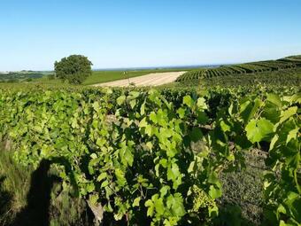 Bed & Breakfast Les Prunelles Chambres D'h�tes & Spa