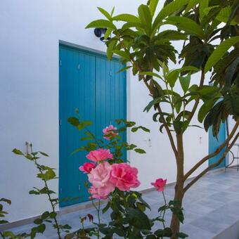 Ver fotos