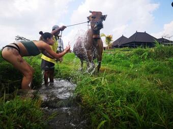 Ver fotos