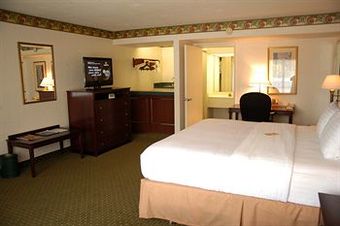 Hotel Holiday Inn Lakeland South