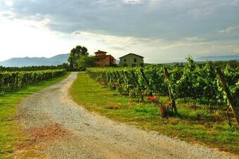 Apartamento Country Estate Santa Lucia La Rotta - Ito04167-cya