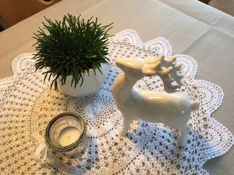 Hostal Garni Platzer