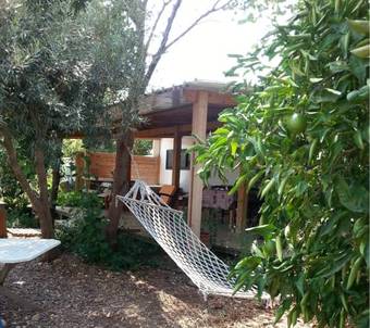 Lodge Rotem's Trail