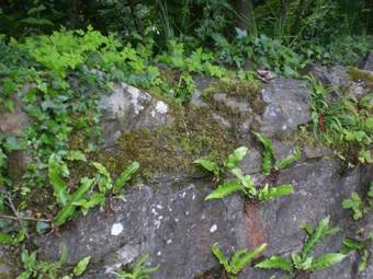 Lissadell B&B