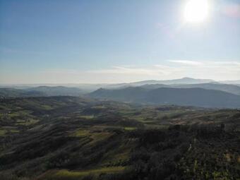 La Ricciolina B&B