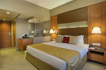 Hotel Royal Orchid Central Akota