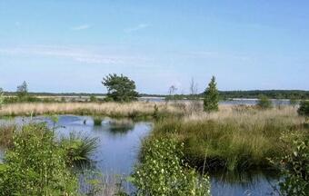 Chalet 101