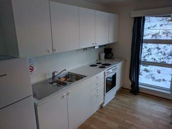 Seljord Apartment