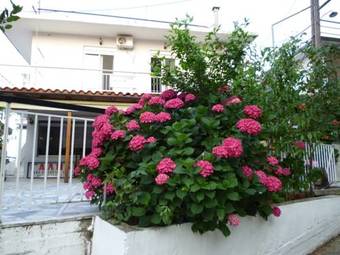 Hostal Galini