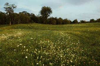 Tentrr - Private Peaceful Farm Venture