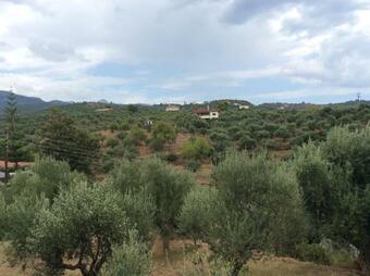 Apollon Apartments