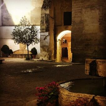 Ver fotos