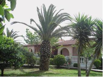 Nikos Apartments