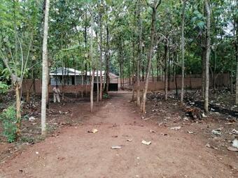 The Cascade Lodge