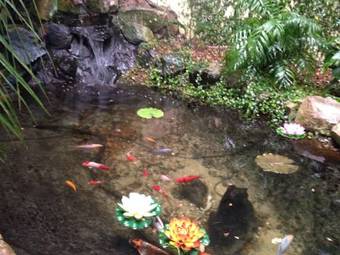 Ver fotos