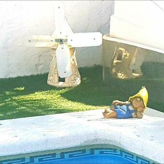 Ver fotos
