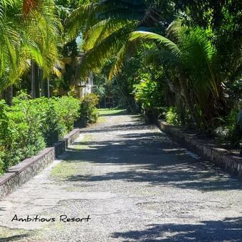 Ver fotos