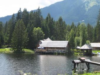 Chalet 45